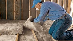 Best Spray Foam Insulation  in Paynesville, MN